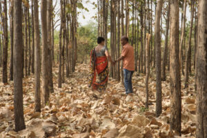 Happy Indian senior couple walking in forest